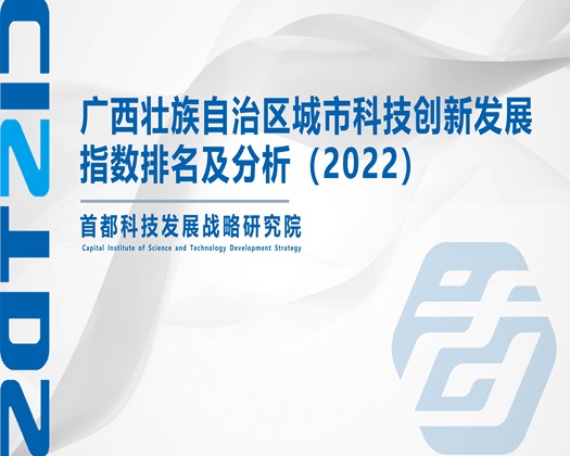 操阴道里视频【成果发布】广西壮族自治区城市科技创新发展指数排名及分析（2022）